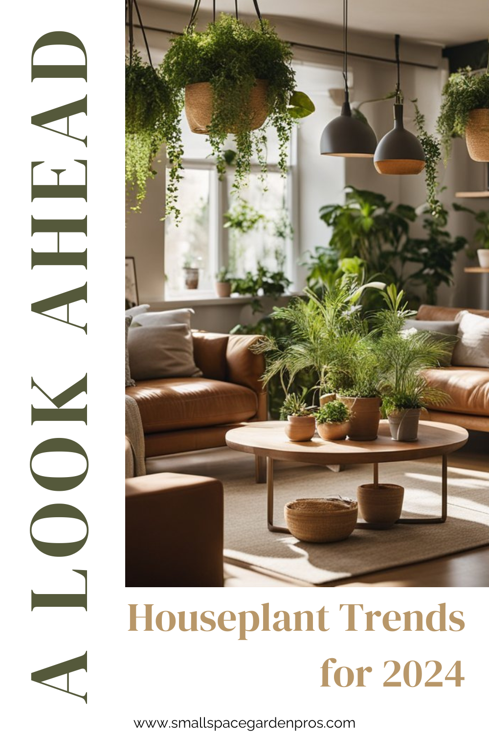 Houseplant Trends for 2024: A Look Ahead - Small Space Garden Pros