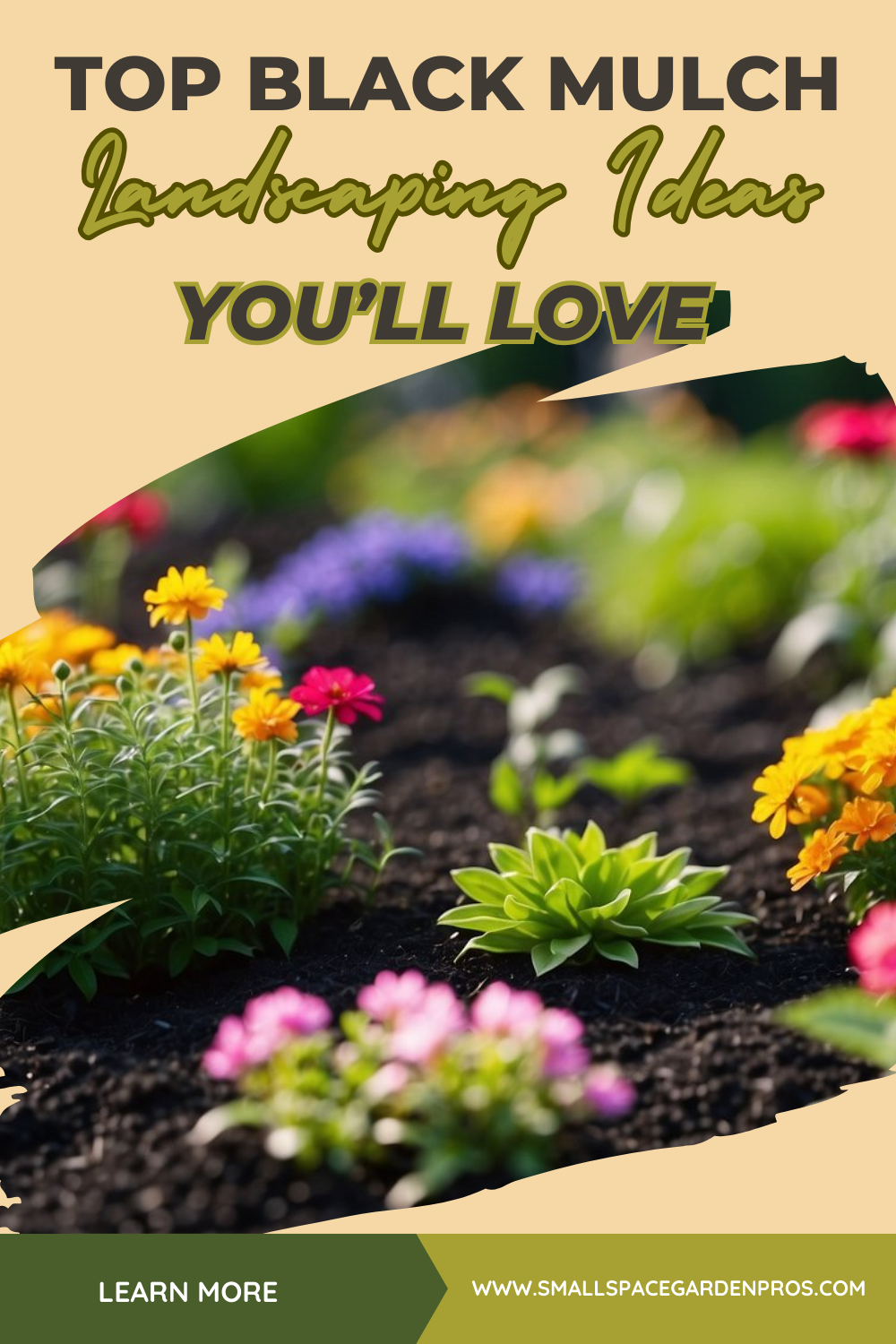 Black Mulch Landscaping Ideas: Elevate Your Garden's Aesthetics - Small ...